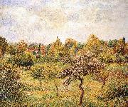 The apple trees on the lawn Camille Pissarro